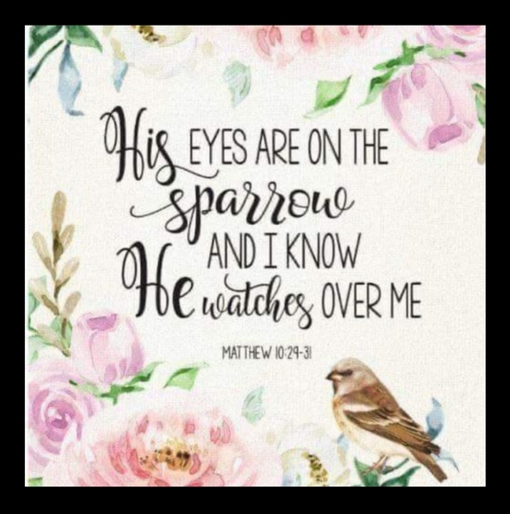 Welcome! 🦋 - Picture 13 of 13